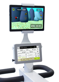 Kinevia Entertainment System