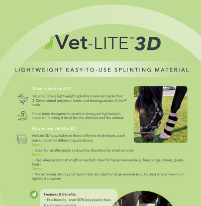 VetLite 3D Flyer