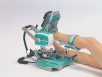Ankle CPM Rental
